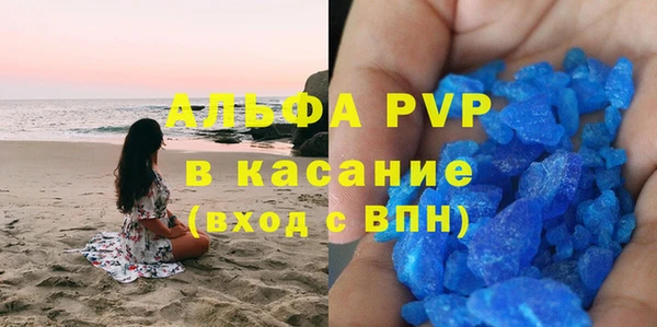 спиды Щигры