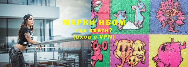 спиды Щигры