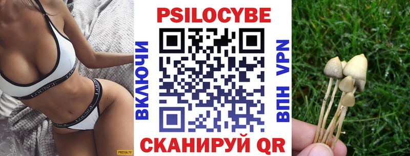 где купить наркоту  Донской  Псилоцибиновые грибы мухоморы 
