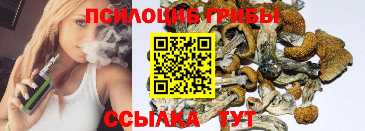 Донской  Галлюциногенные грибы Psilocybine cubensis  Вход с VPN  Галлюциногенные грибы мухоморы 